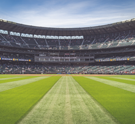 Águilas Blancas Flag Football