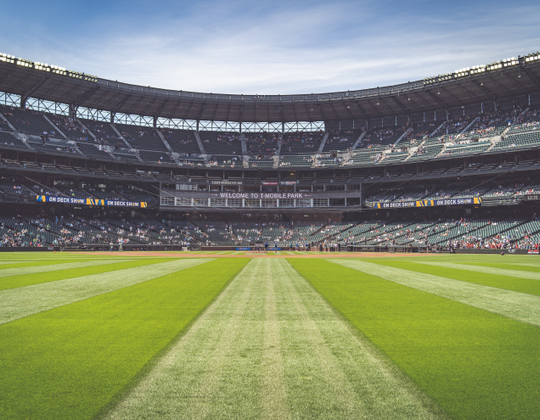 Águilas Blancas Flag Football